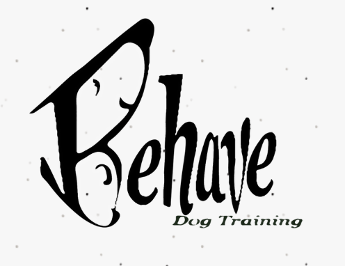 This is an image of behave dog training downtown overland park